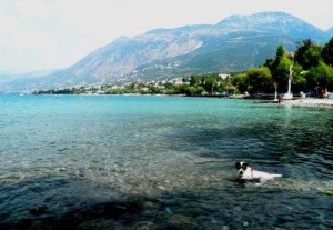 Water baby: Wallace swimming in a cove in the shadow of the Taygetos mountains